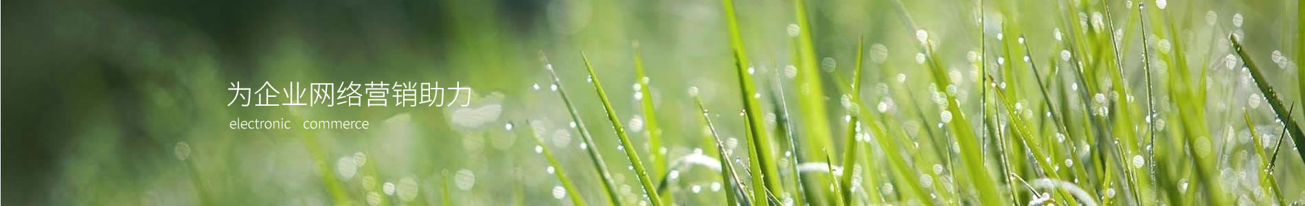 ݽƼ޹˾
